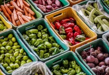 Preços dos alimentos caíram pelo quarto mês consecutivo, segundo IBGE alimento, comida, alimentação, produção