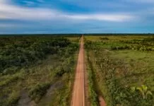 Governo quer mudanças em projeto que flexibiliza licenciamento ambiental Trecho sem asfalto da BR 319, entre Humaitá e Realidade, no Amazonas (Foto: Alberto César Araújo/Amazônia Real)