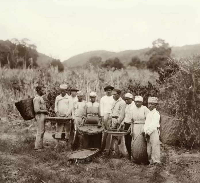 Captura de tela 2025-05-16 122950