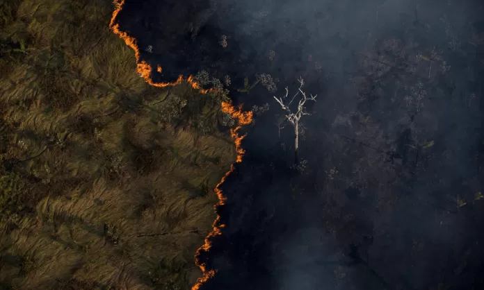 amazônia, queimada, incêndio, fogo, desmatamento