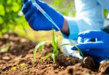 Congresso derruba veto e libera produção de bioinsumos sem registro Bioinsumo