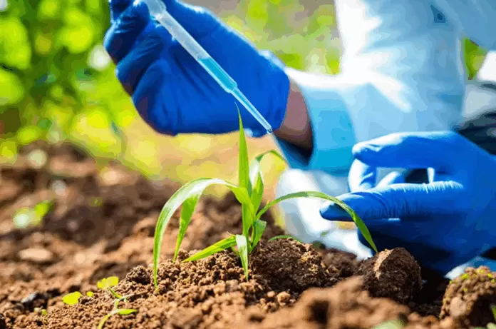 Captura de tela 2025-06-18 111633 Bioinsumo