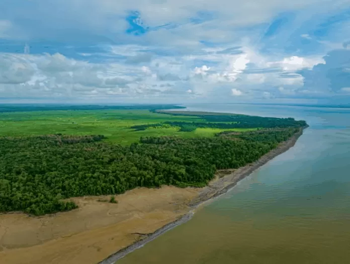 stação Ecológica de Maracá-Jipioca, uma das reservas na costa do Amapá. Foz do Amazonas