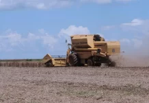 São Paulo lança projeto com R$ 1,1 bi para agricultura sustentável Agro, agronegócio, agricultura, agropecuária, produtores rurais