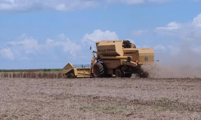Agro, agronegócio, agricultura, agropecuária, produtores rurais
