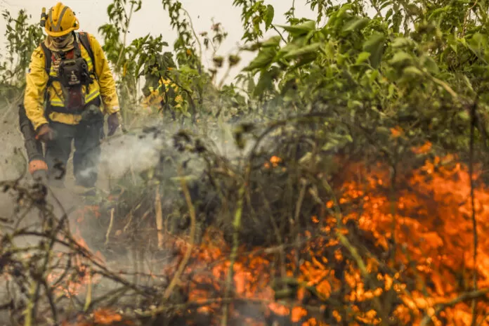 Corumbá (MS), 29/06/2024 - Com o auxílio de aviões, brigadistas do Prevfogo/Ibama combatem incêndios florestais no Pantanal. fogo, incêndio, queimada