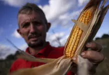 Câmara aprova financiamento para irrigação e armazéns rurais Mauriti (CE), 26/05/2025 - O pequeno agricultor da comunidade Canabravinha, Albino Viana, diz que sofre com a escassez de água e espera poder irrigar sua produção com as águas da transposição do rio São Francisco.