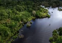 Forças Armadas atuarão na segurança da COP30 em Belém