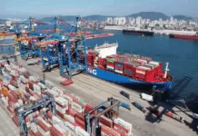 Contêineres: Ministério Público Junto ao TCU defende leilão em fase única Porto de Santos