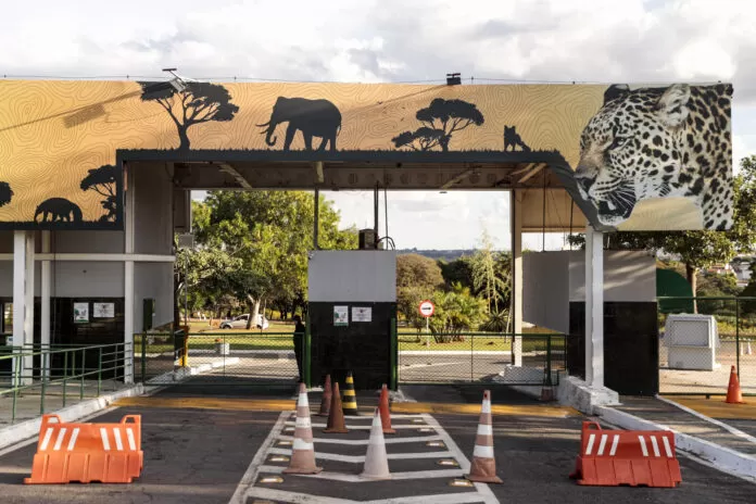 Brasília (DF), 28/05/2025 - O Zoológico de Brasília precisou fechar as portas por suspeitas de casos de gripe aviária. Segundo informações preliminares, um pombo e um pato foram encontrados mortos e levantaram suspeitas sobre a infecção.