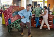 Tarifaço ameaça laranja, café e carne brasileiros Brasília-DF, 10.11.2023, A Centrais de Abastecimento do Distrito Federal, a CEASA-DF, tem movimento intenso de pessoas que buscam as melhores frutas, legumes e verduras.