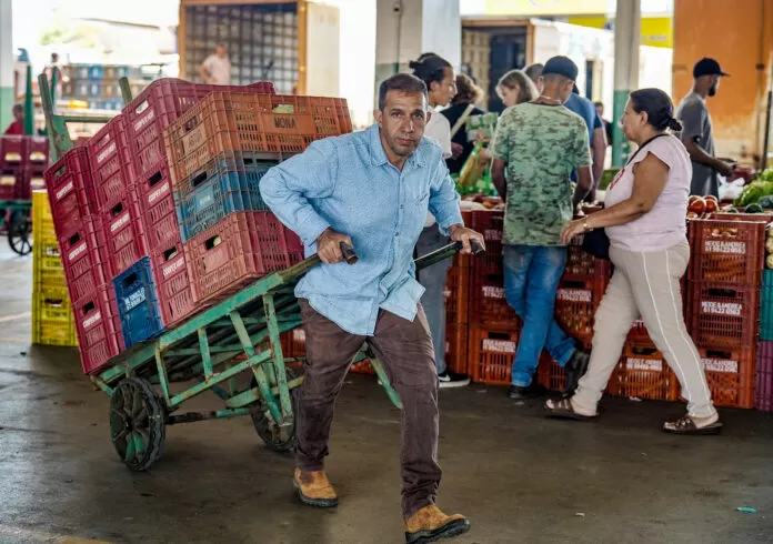 Brasília-DF, 10.11.2023, A Centrais de Abastecimento do Distrito Federal, a CEASA-DF, tem movimento intenso de pessoas que buscam as melhores frutas, legumes e verduras.