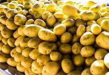 Preços da batata caem pelo segundo mês seguido