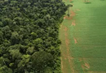 Lula sanciona com 63 vetos lei que muda regras de licenciamento ambiental meio ambiente, floresta, licenciamento ambiental