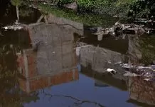 PNAD 2024: só 9,4% dos domicílios rurais têm esgoto ligado à rede