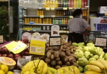 Setor de serviços cresceu 0,3% entre junho e julho, aponta IBGE serviços, comércio, frutas