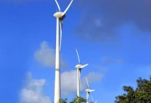 Brasil e 16 líderes globais assinam carta por transição energética justa transição energética, energia eólica