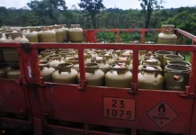 Gás do Povo: Nelsinho Trad deve presidir comissão mista gás de cozinha, botijão, Gás do Povo