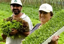 Câmara aprova projeto que garante respaldo legal ao Pronaf e Plano Safra Plano Safra, agricultura familiar