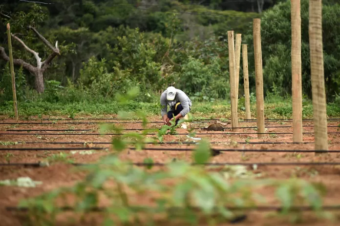 produtor rural, agricultura familiar