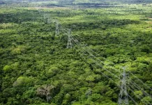 Amazonas e Pará terão novas usinas após leilão de suprimento da ANEEL energia elétrica, linha de transmissão, floresta amazônica, amazônia
