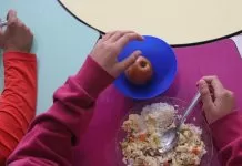 Câmara aprova projeto que amplia compra de alimentos para merenda escolar merenda escolar, escola, educação, criança, adolescente, aluno, aluna