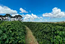 Incentivos para minerais críticos podem abranger fertilizantes e sistemas de baterias fertilizante, plantação, agricultura