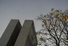 Na última semana de prazo, comissão aprova MP do Licenciamento Fachada do Palácio do Congresso Nacional. O Palácio do Congresso Nacional é um dos pilares da arquitetura monumental de Niemeyer que dão forma à capital inaugurada em 1960. Construído em terreno elevado, é visto de longe como culminância da avenida Eixo Monumental, que abriga a Esplanada dos Ministérios e atravessa a cidade de norte a sul. Sede das duas Casas do Poder Legislativo e um dos mais famosos cartões postais do Brasil, o Palácio do Congresso Nacional é composto por duas cúpulas e duas torres de 28 andares, que abrigam a Câmara dos Deputados e o Senado Federal. Em destaque, início da floração de ipê-amarelo, espécie nativa do cerrado. Foto: Marcos Oliveira/Agência Senado câmara dos deputados, senado federal