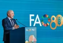 Em Roma, Lula defende incluir mais pobres no orçamento Roma, 13/10/2025 - Presidente da República, Luiz Inácio Lula da Silva, durante abertura do Fórum Mundial da Alimentação, da Aliança Global contra a Fome e a Pobreza, realizada na sede da Organização das Nações Unidas para Alimentação e Agricultura (FAO).