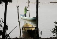 Início do defeso da piracema restringe a pesca comercial em todo o país