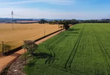 Senado aprova regularização de imóveis em faixa de fronteira imóvel rural, fronteira, campo, agricultura, desmatamento