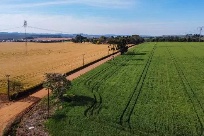 imóvel rural, fronteira, campo, agricultura, desmatamento