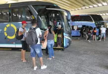 Justiça determina apuração sobre descumprimento judicial pela ANTT no caso FlixBus ônibus, transporte, interestadual, rodoviária