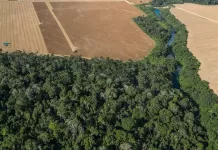 Congresso retoma possibilidade de atividades rurais registradas no CAR não se sujeitarem ao licenciamento ambiental licenciamento ambiental