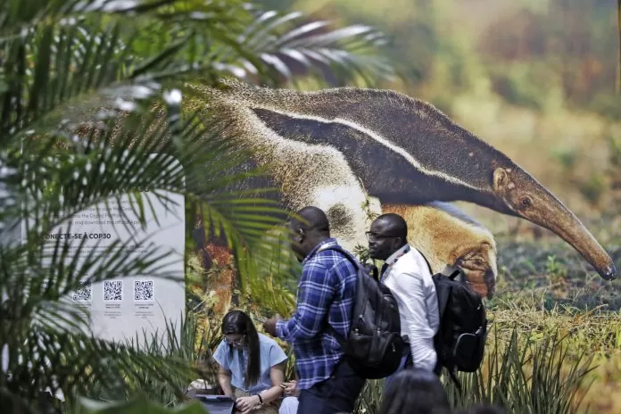 Belém (PA), 10/11/2025 - Pessoas na 30a. Conferência das Partes da Convenção-Quadro das Nações Unidas sobre a Mudança do Clima, na COP30.