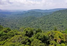 Suíça investirá cerca de R$ 33 milhões no Fundo Amazônia